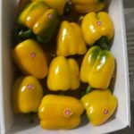 خرید محصولات کشاورزی