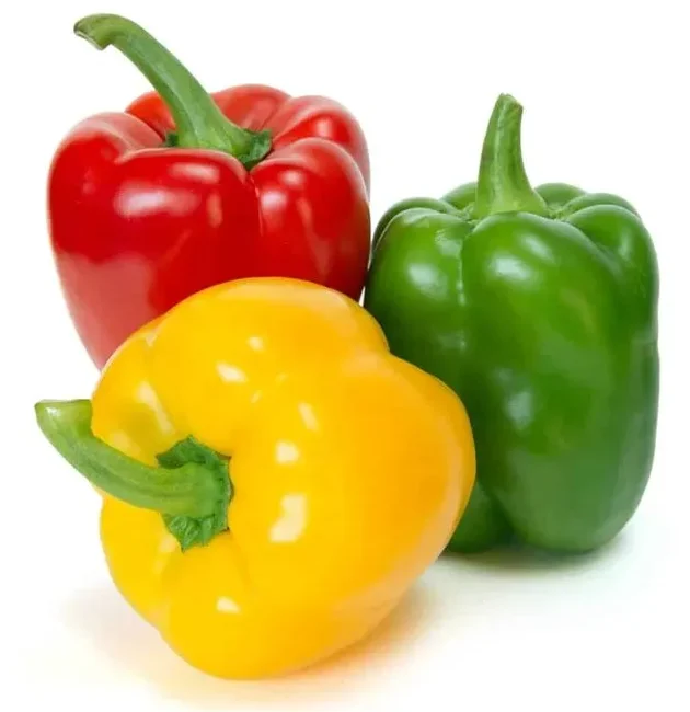 خرید عمده فلفل دلمه ای