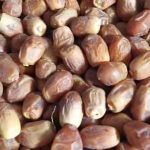 خرید محصولات کشاورزی