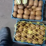 خرید محصولات کشاورزی