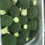 خرید محصولات کشاورزی