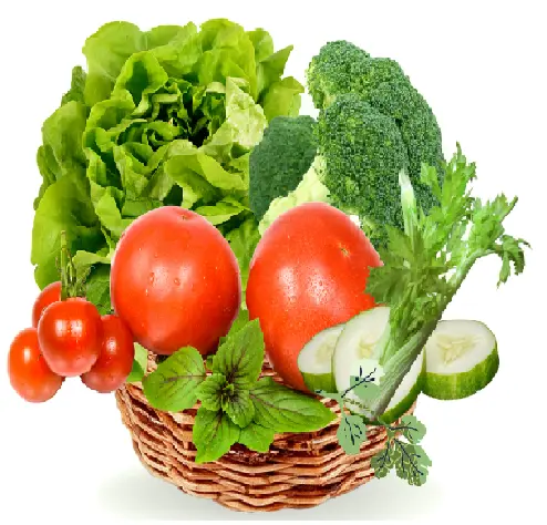 خرید عمده محصولات کشاورزی